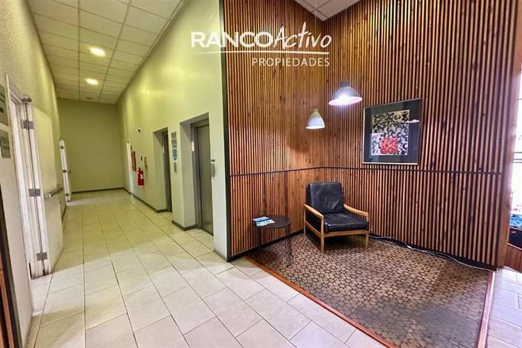 Gran Oficina en Arriendo Paseo Libertad Valdivia