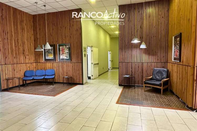 Gran Oficina en Arriendo Paseo Libertad Valdivia