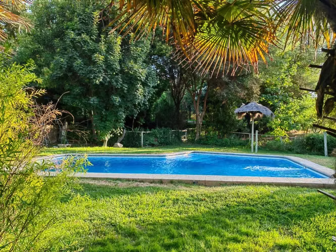 Curacaví, 11.000 m2/ piscina, arboles nativ (179611)