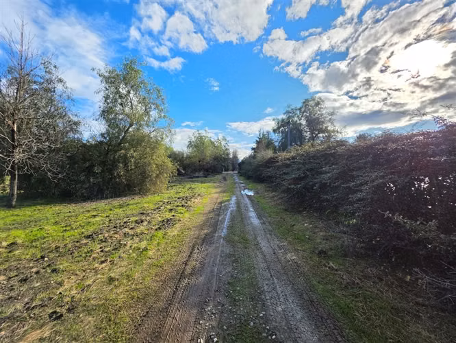 Sitio en Venta en Condominio Los Algarrobos IV-A Chicureo