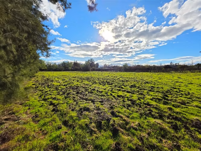 Sitio en Venta en Condominio Los Algarrobos IV-A Chicureo