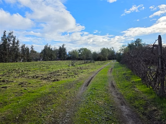Sitio en Venta en Condominio Los Algarrobos IV-A Chicureo