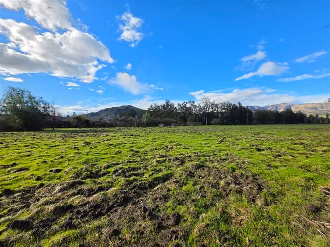 Sitio en Venta en Condominio Los Algarrobos IV-A Chicureo