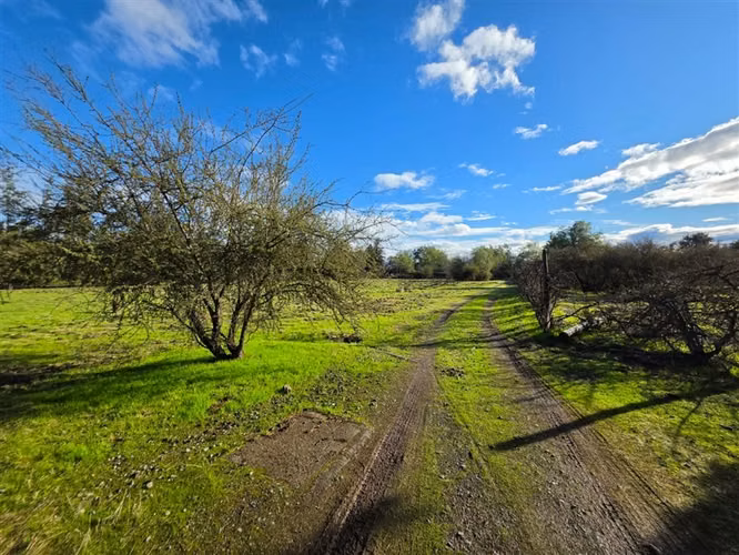 Sitio en Venta en Condominio Los Algarrobos IV-A Chicureo
