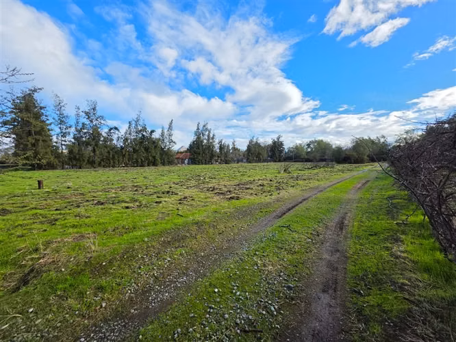 Sitio en Venta en Condominio Los Algarrobos IV-A Chicureo