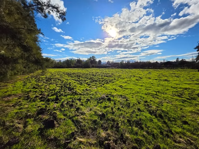 Sitio en Venta en Condominio Los Algarrobos IV-A Chicureo