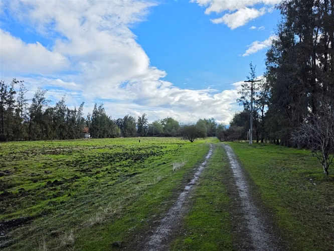 Sitio en Venta en Condominio Los Algarrobos IV-A Chicureo