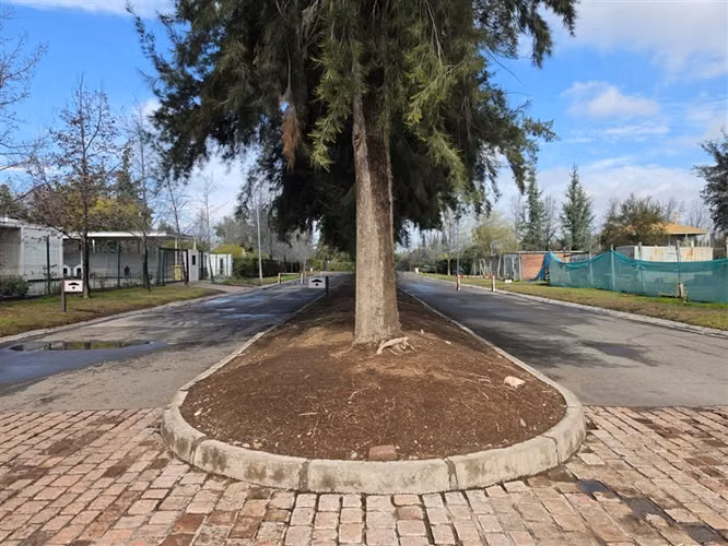 Sitio en Venta en Condominio Los Algarrobos IV-A Chicureo
