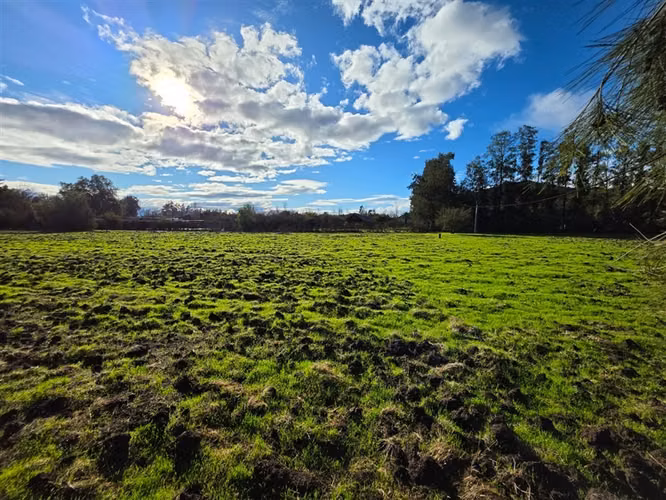 Sitio en Venta en Condominio Los Algarrobos IV-A Chicureo