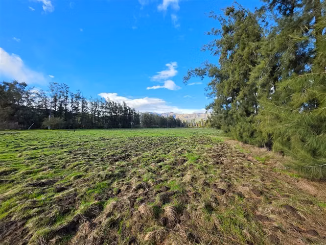 Sitio en Venta en Condominio Los Algarrobos IV-A Chicureo
