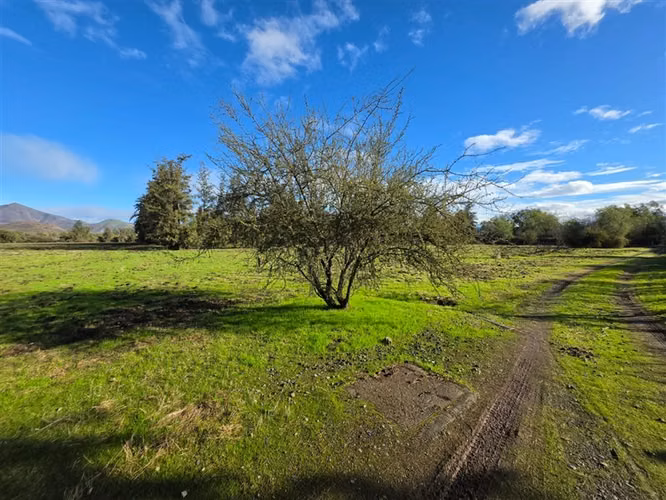 Sitio en Venta en Condominio Los Algarrobos IV-A Chicureo
