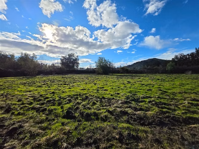 Sitio en Venta en Condominio Los Algarrobos IV-A Chicureo