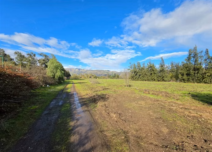 Sitio en Venta en Condominio Los Algarrobos IV-A Chicureo