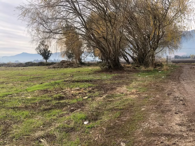 Vendo Terreno con Rol Propio Con Entrega inmediata y Luz por Parcela en 120 dias aprox
