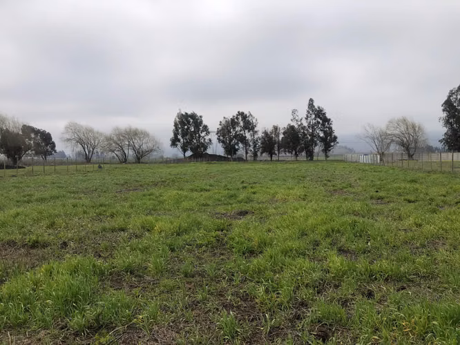 Vendo Terreno con Rol Propio Con Entrega inmediata y Luz por Parcela en 120 dias aprox