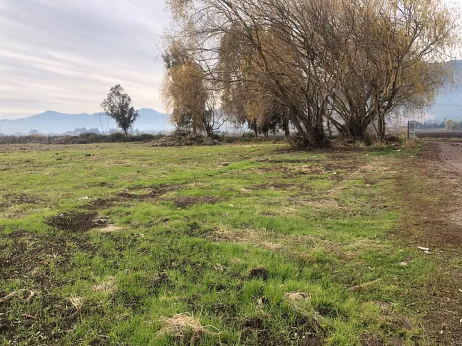 Vendo Terreno con Rol Propio Con Entrega inmediata y Luz por Parcela en 120 dias aprox
