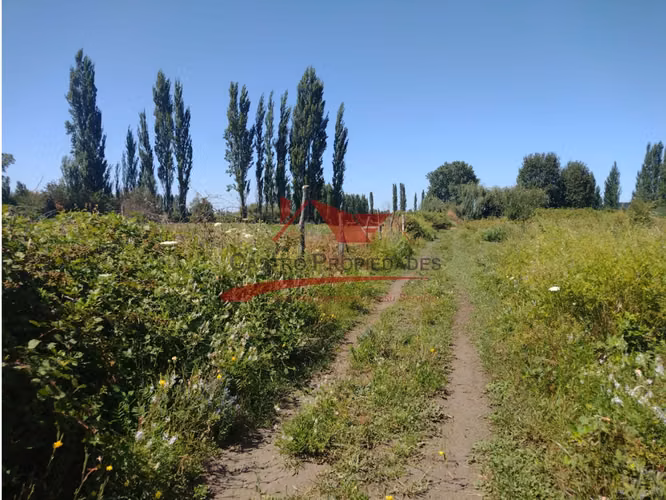 Terreno de Una Hectárea, Sector Santa Clara, Los Ángeles, Región del Bio Bio.