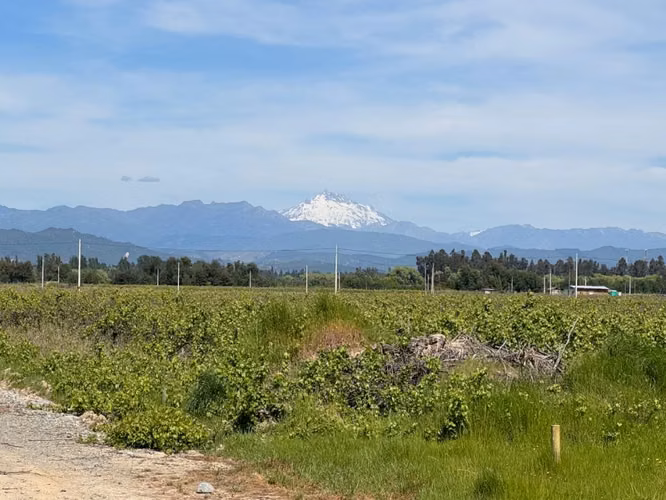 Se vende lote de 5.000 en Loteo Los Batros Linares