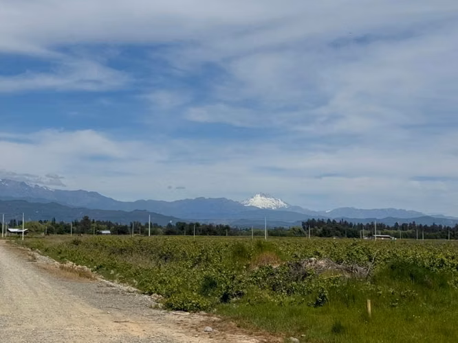 Se vende lote de 5.000 en Loteo Los Batros Linares