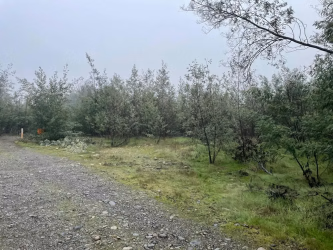 Se vende lote de 5.000 en Ballica Norte Linares