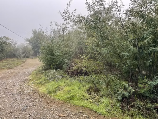 Se vende lote de 5.000 en Ballica Norte Linares