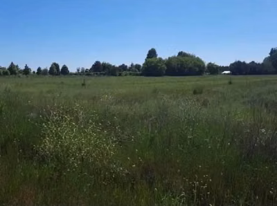 Se vende lote 5.000 Fundo el Carmen, Linares