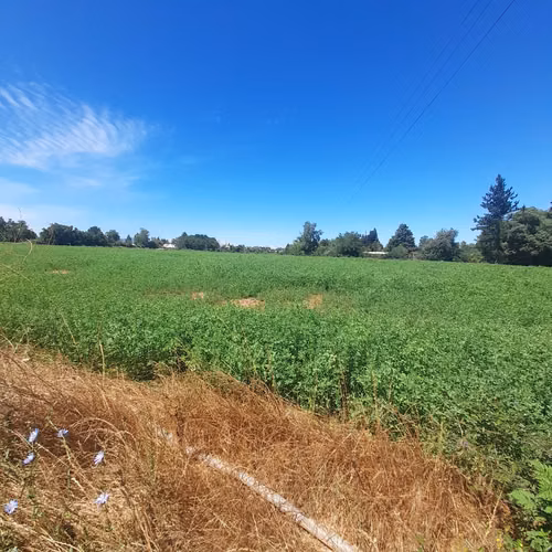 SE VENDE PARCELA DE 12,5 HECTÁREAS EN SAN VÍCTOR ÁLAMOS, LIN