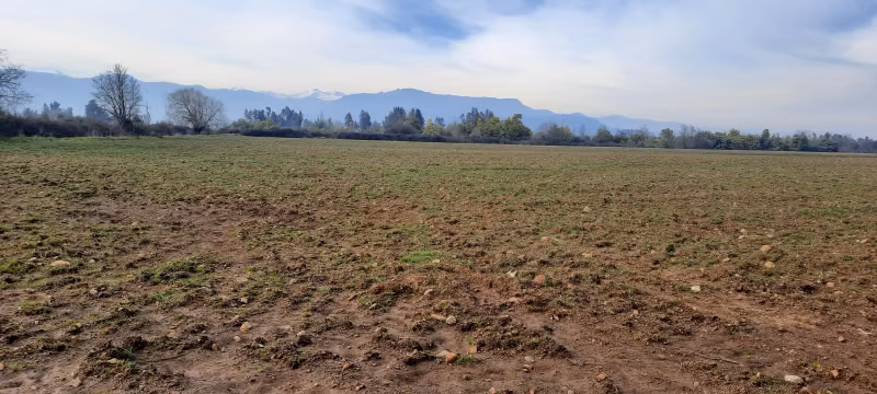 SE VENDE PARCELA AGRICOLA DE 7 HAS. EN COLBUN