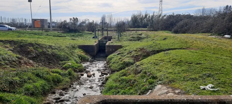 SE VENDE PARCELA AGRICOLA DE 7 HAS. EN COLBUN