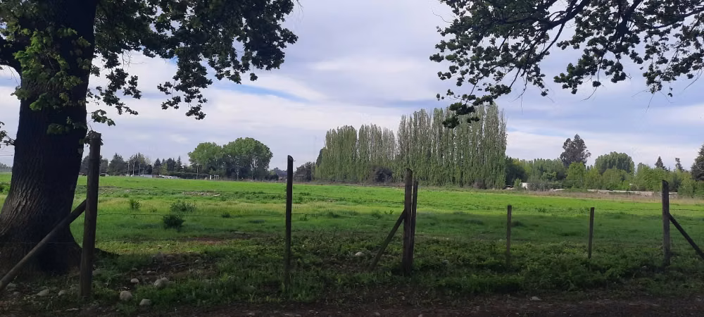 SE VENDE LOTE DE 5.000 EN CAM. A PANIMAVIDA KM 1 LINARES