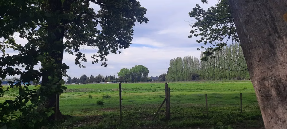 SE VENDE LOTE DE 5.000 EN CAM. A PANIMAVIDA KM 1 LINARES