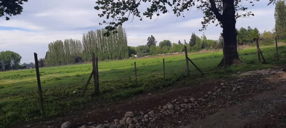 SE VENDE LOTE DE 5.000 EN CAM. A PANIMAVIDA KM 1 LINARES