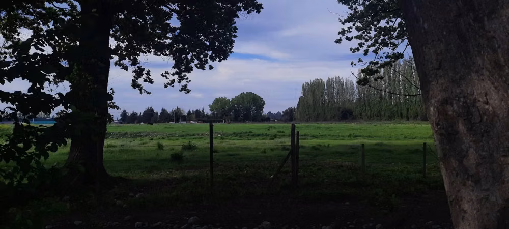 SE VENDE LOTE DE 5.000 EN CAM. A PANIMAVIDA KM 1 LINARES