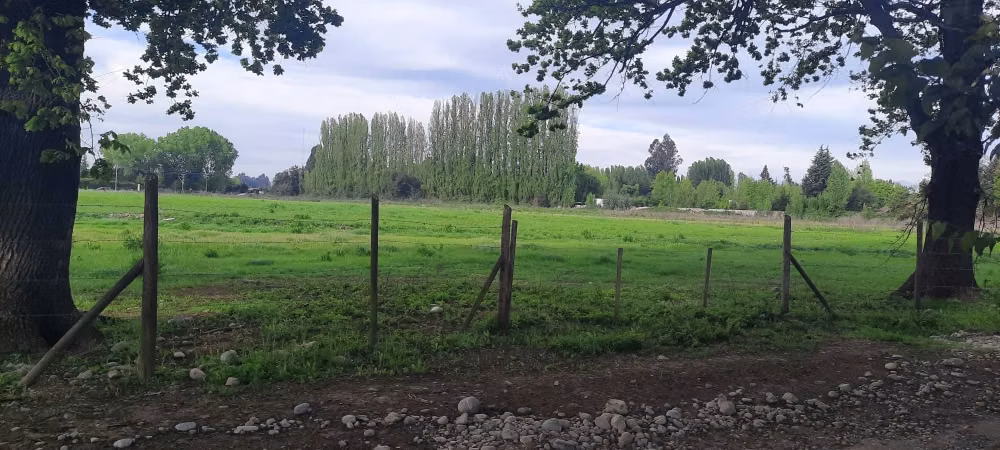 SE VENDE LOTE DE 5.000 EN CAM. A PANIMAVIDA KM 1 LINARES