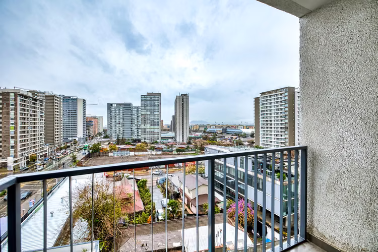 Vicuña Urban [1322-16]