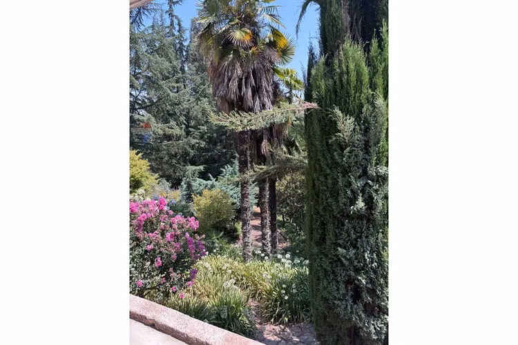 Espectacular casa en venta en lo barnechea - Imagen 21