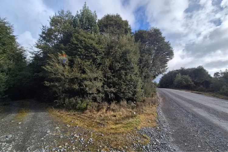 Lote de 3 parcelas , molulco-natri, chiloe