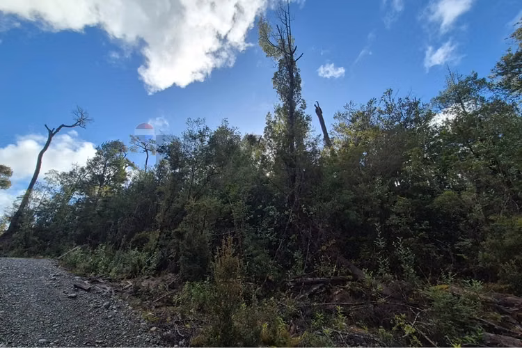 Lote de 3 parcelas , molulco-natri, chiloe