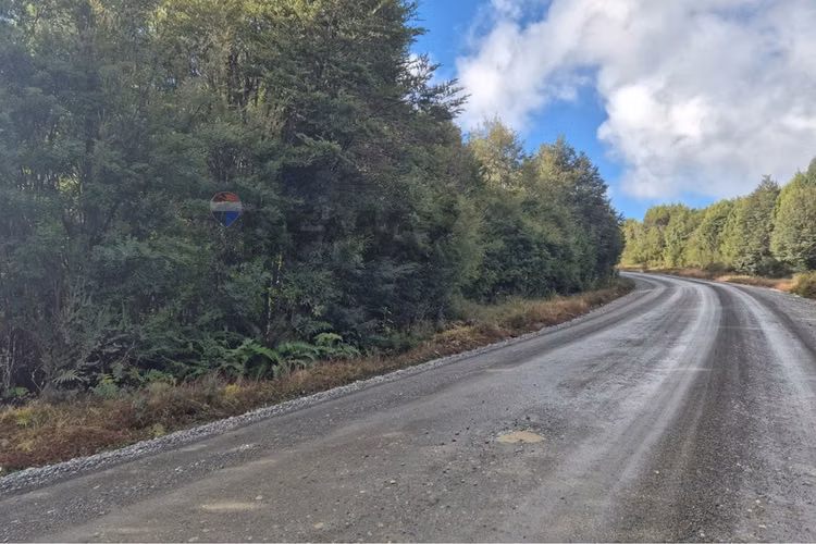 Lote de 3 parcelas , molulco-natri, chiloe