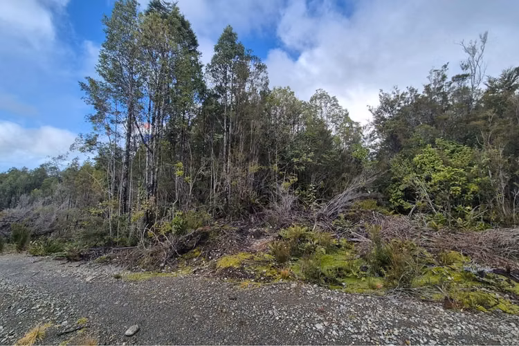 Lote de 3 parcelas , molulco-natri, chiloe