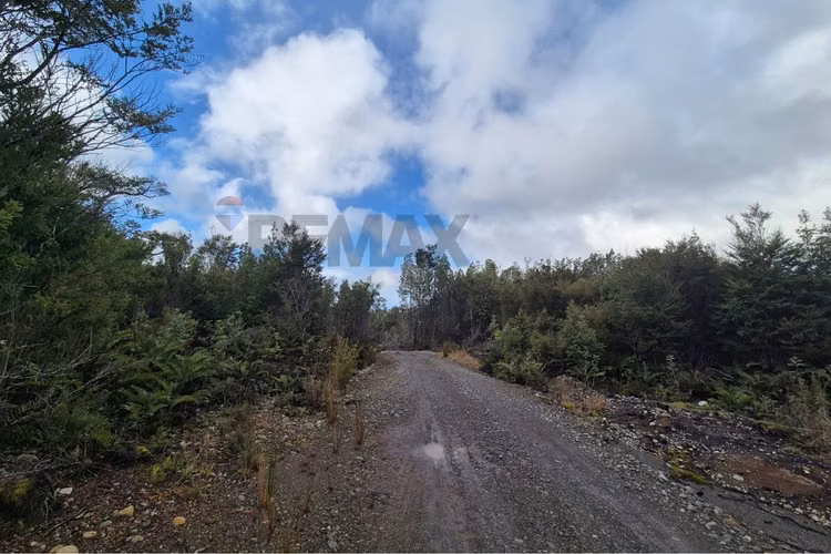 Lote de 3 parcelas , molulco-natri, chiloe