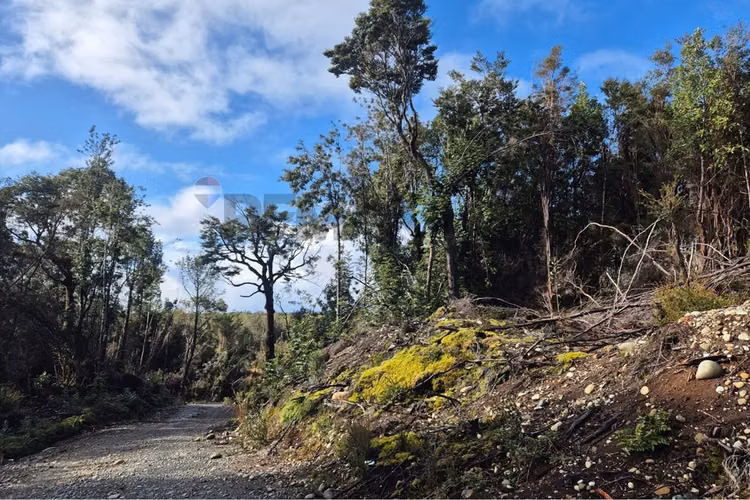 Parcela 5000 m molulco-natri, chiloe