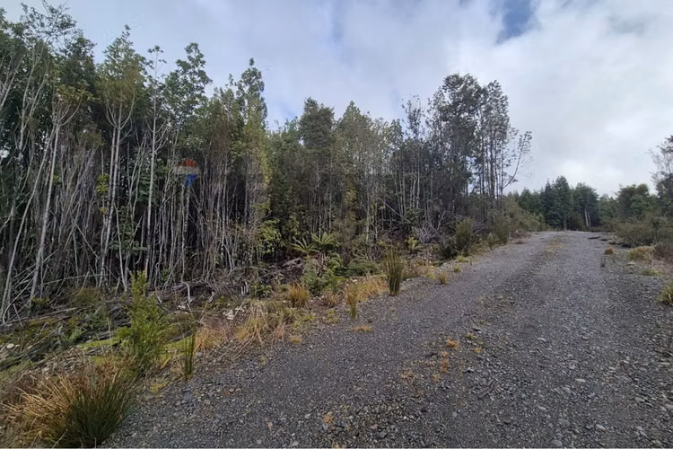 Parcela 5000 m molulco-natri, chiloe