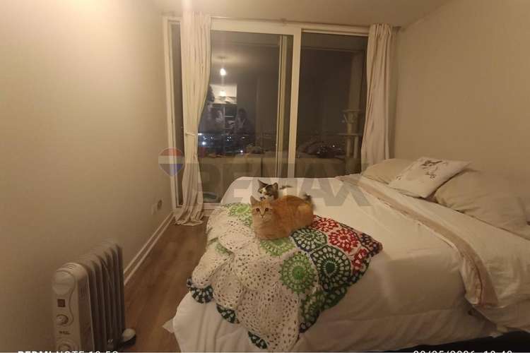 Departamento venta macul - Imagen 6