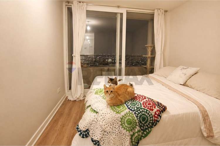 Departamento venta macul - Imagen 11