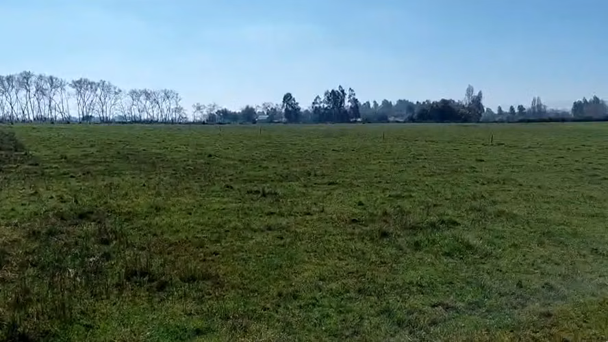 CAMPO AGRÍCOLA EN VENTA, PROPIEDAD AGRÍCOLA DE 20 HA PELARCO