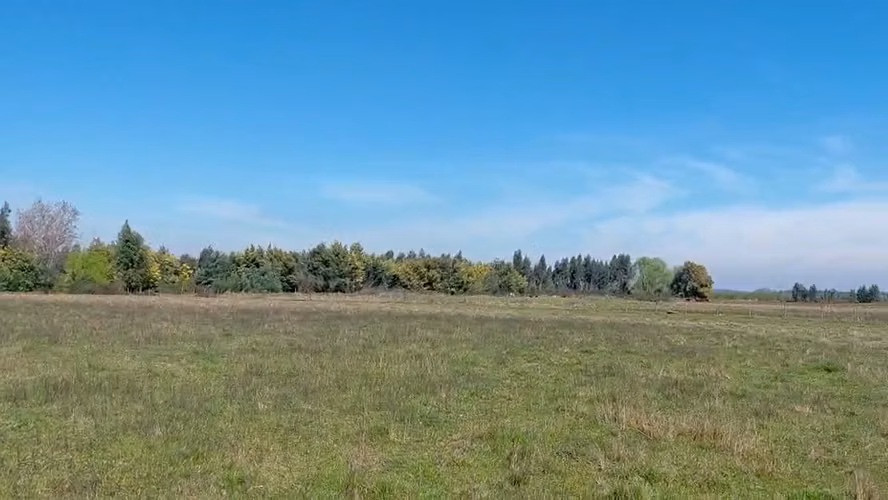 CAMPO AGRÍCOLA EN VENTA, PROPIEDAD AGRÍCOLA DE 20 HA PELARCO