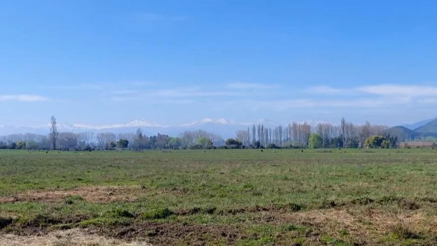 CAMPO AGRÍCOLA EN VENTA, PROPIEDAD AGRÍCOLA DE 20 HA PELARCO