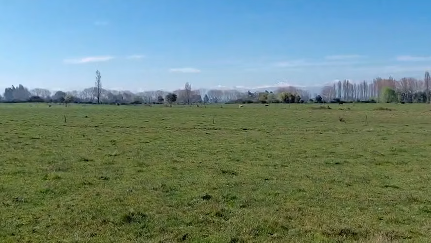 CAMPO AGRÍCOLA EN VENTA, PROPIEDAD AGRÍCOLA DE 20 HA PELARCO