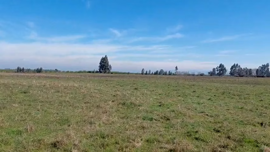 CAMPO AGRÍCOLA EN VENTA, PROPIEDAD AGRÍCOLA DE 20 HA PELARCO